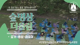 산림일자리발전소 그루경영체 홍보영상 [세종 숲명상더울림]