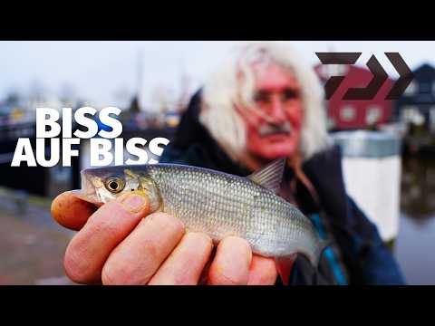 DAIWA: MITTEN im WINTER: FISCHE ohne ENDE beim BOLO ANGELN mit JÖRG OVENS