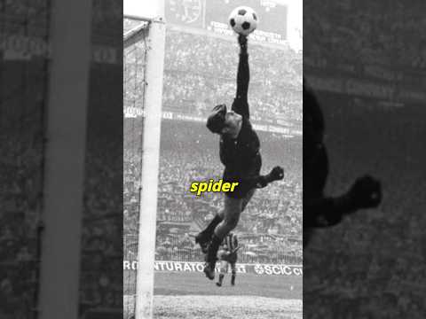 Lev Yashin, The Black Spider: Secrets of Football’s Greatest Goalkeeper #shorts #blackspider