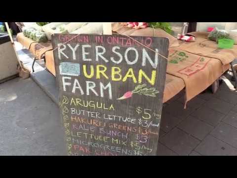 What does a rooftop farm do for a university?
