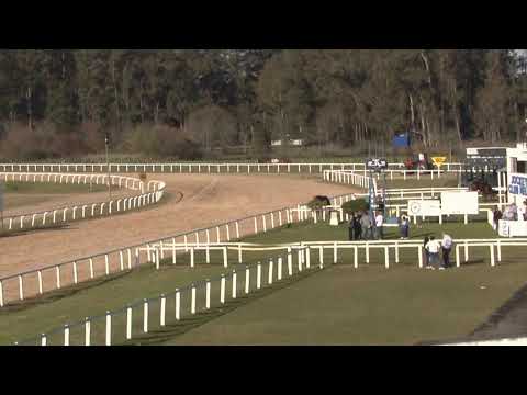 CARRERAS SINT MELO 30/8/2025 | EN VIVO | URUGUAY