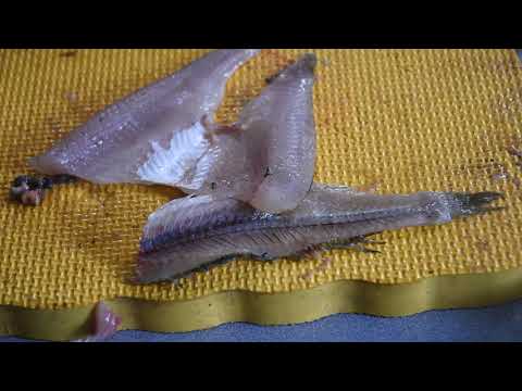 Simplest Method to Clean Perch Fast (Under 30 Seconds!) 🔴