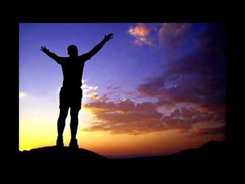 Solaris FT BoToStudio - Wolność