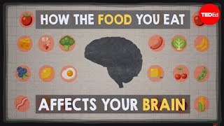 How the Food You Eat Affects Your Brain