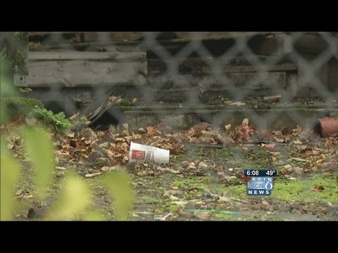 Fence around abandoned house has holes