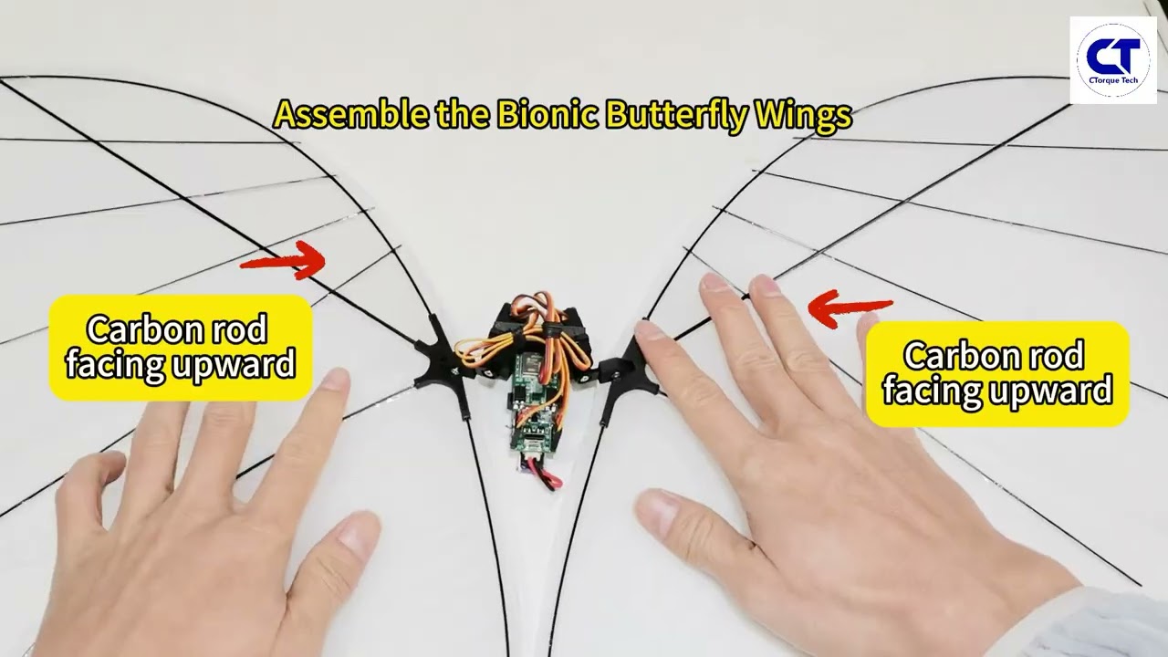 Tutorial on Bionic Butterfly Assembly