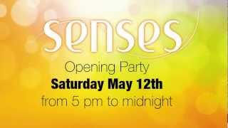 Senses by Sexy n Chic at Ushua a Ibiza Beach Hotel May th, 2012