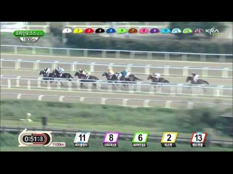 Korean Oaks 2013 - Speedy First