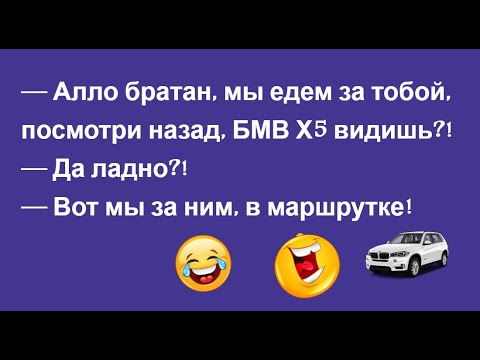 Сегодня услышал, как соседка долго уговаривала кота слезть с дерева. Последняя её фраза... Выпуск 19