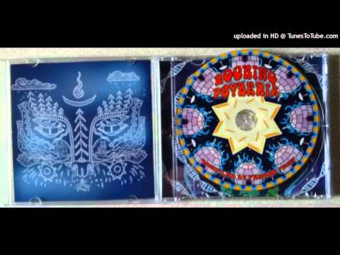 Skyhigh Pirates & Synthetik Chaos - Human Kinetic