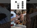 5 MUST KNOW Major Pentatonic Bass Patterns