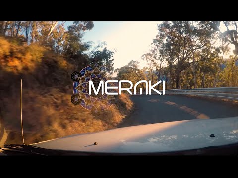 GeometricZion  2021 • Thredbo NSW • Meraki