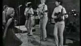 Liverbirds - Diddley Daddy 1965