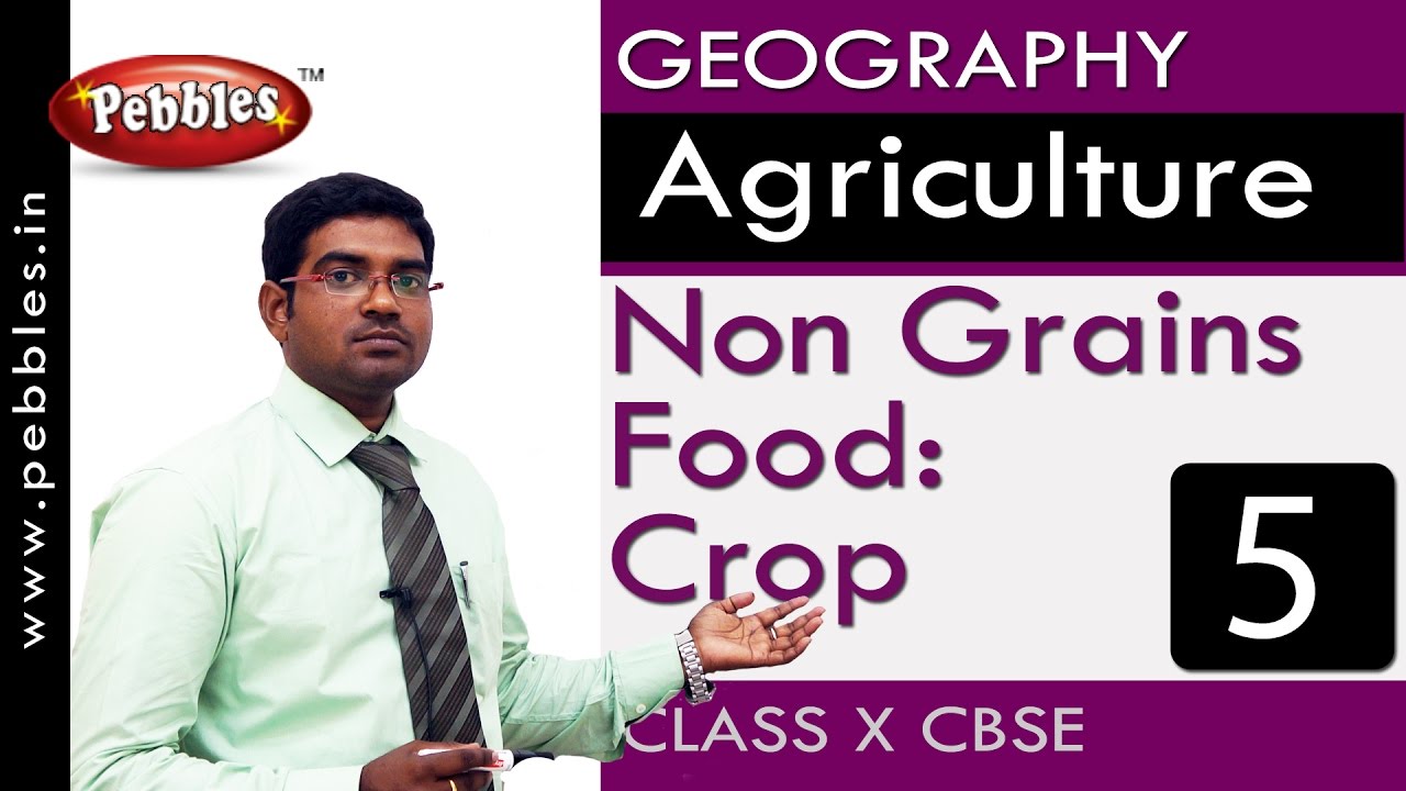 Non Grains Food: Crops| Agriculture | Geography | CBSE Class 10 Social Sciences