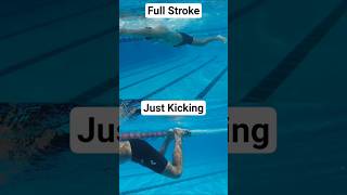 Download lagu Breaststroke for Swimming Watch the Kick and Full Stroke mp3 Download lagu Breaststroke for Swimming Watch the Kick and Full Stroke mp3