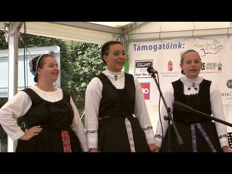 II. Dunamenti Halfesztivál - "Mohács" Nemzetiségi Néptáncegyüttes - sváb népdalok