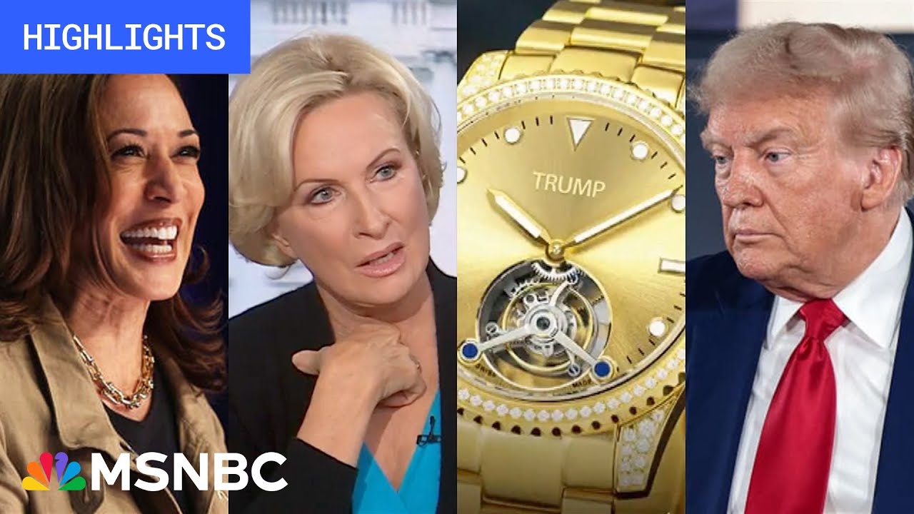 Countdown to the 2024 election: Day 38 | MSNBC Highlights