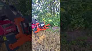 A.TOM hedge trimmer for sale - Image 4 | Agroline MY New A.TOM hedge trimmer | Image 4 - Agroline