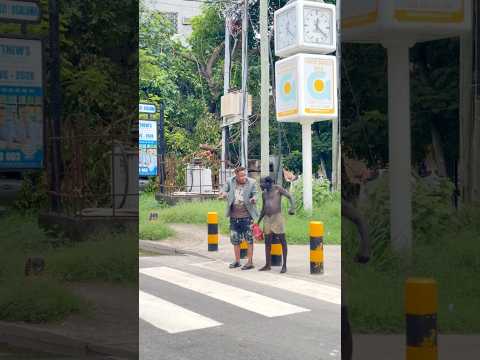 Zebra 😂😂😂 #kingpusitv