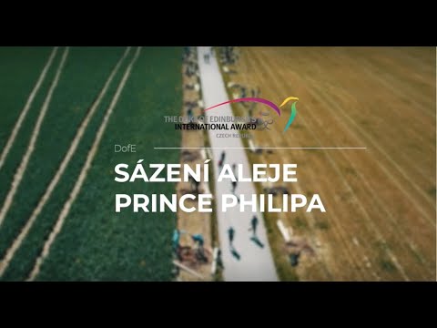 Náhled pro video reference