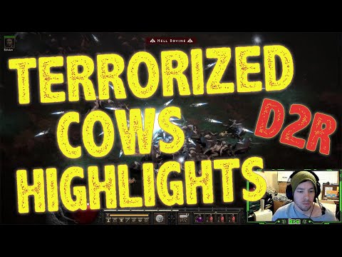 Loot Highlights From A Day of Terrorized  Cows Diablo 2 Resurrected