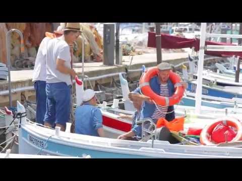 DANS MA PETITE CALANQUE / MOUSSU T E LEI JOVENTS