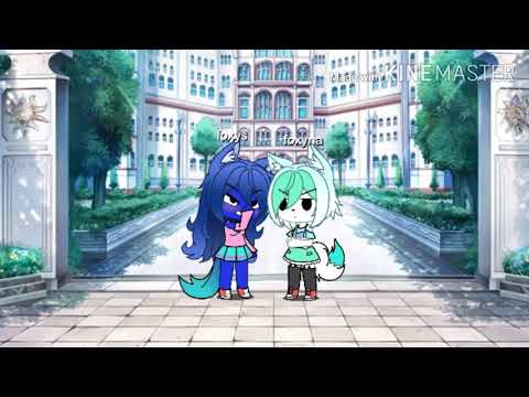 Segura o meu poodle meme