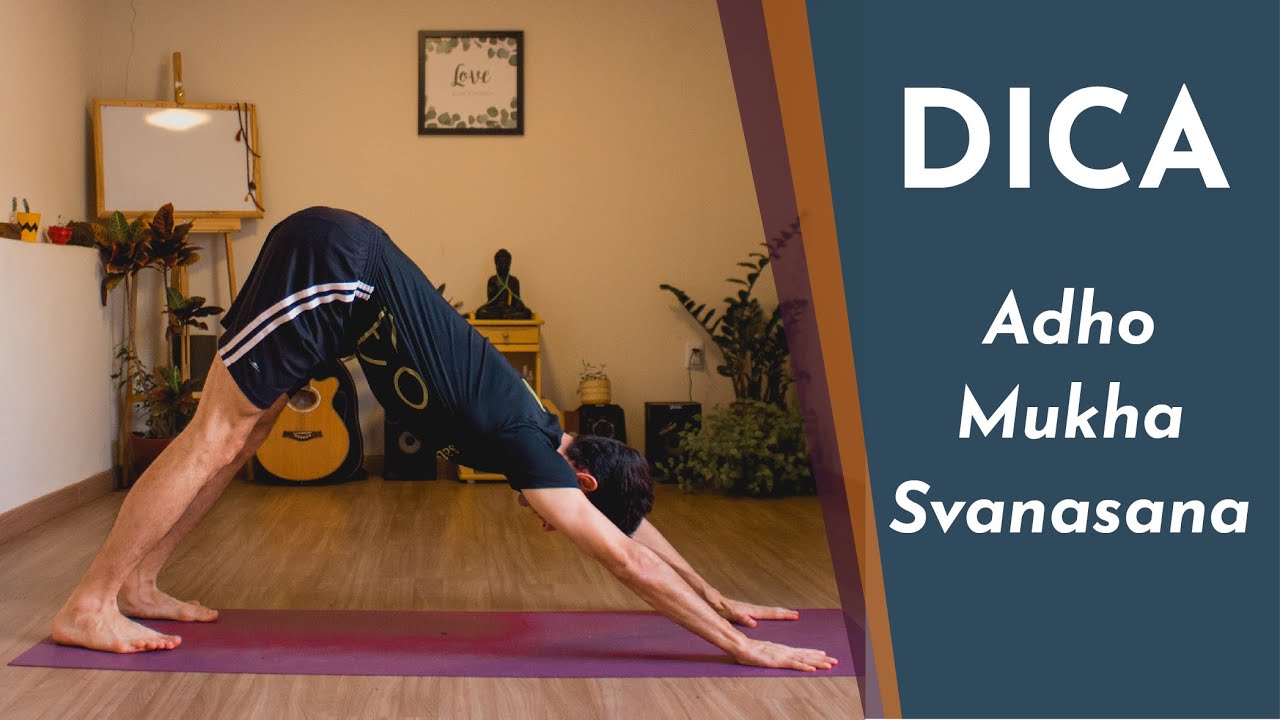 Como fazer a postura do Cachorro Olhando para Baixo - Adho Mukha Svanasana - Ale Toledo Yoga