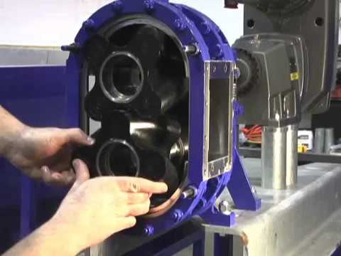 Installing rotors in rotary lobe pump