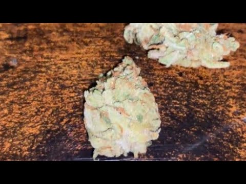 G13 Strain review