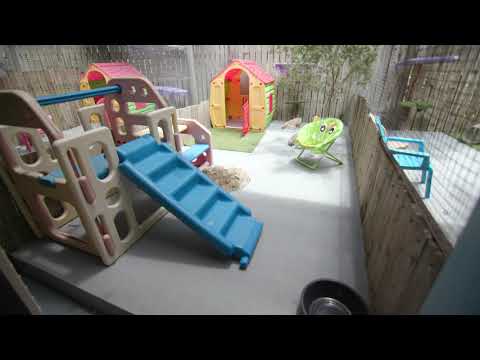 Catarama Cattery and Cat Boarding - Gold Coast - catarama.com