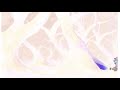 Luigi S Mansion 3DS Remake Intro In G Major