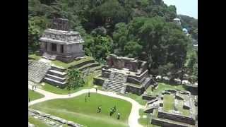 preview picture of video 'México - Chiapas - Palenque - Zona Arquelógica - Desde la piramide - 22.07.14'