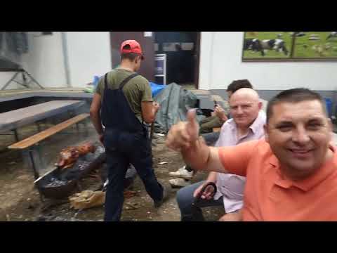 4. Prasićijada u Burovcu  (Petrovac na Mlavi)  (RTV Braničevo)