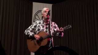 Robyn Hitchcock - Man with a Woman's Shadow