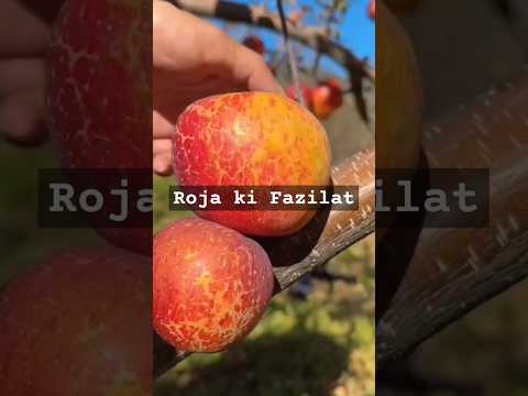 Roja ki Fazilat 🌙 #trendingshorts #fruit #shortsfeed #dua #youtubeshorts #facts #answer #love
