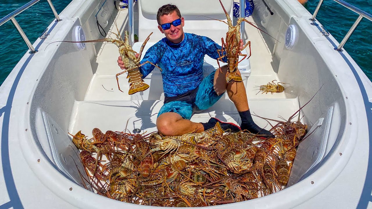SPINY Lobster! Catch Clean Cook- 2020 Florida Lobster Mini Season