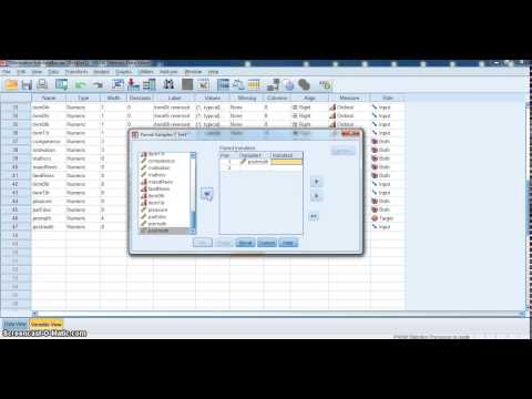Matched Paired Sample t Test in SPSS
