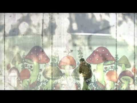 N-Pire Da Great - 36 ZIPS