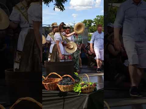 Piza da uva na festa em Mariópolis PR....
