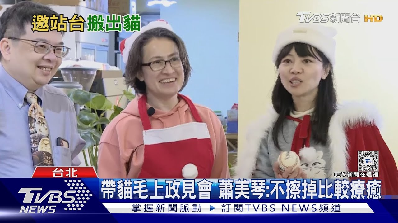 有「喵」就可以! 綠小雞邀蕭美琴搬貓拉關係