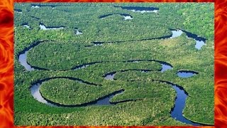 Рыбалка на арапайму в амазонке