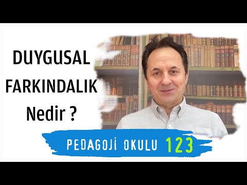 Pedagogy School 123 - What is Emotional Awareness?