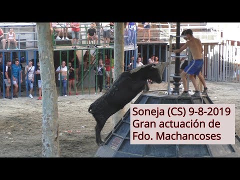 Buena actuación de Fernando Machancoses en Soneja(CS)  9-8-2019