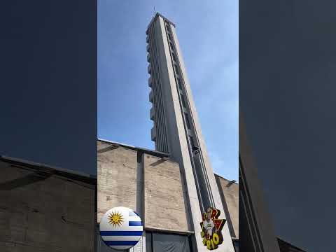 REPÓRTER FAVELA POR AÍ NO ESTÁDIO ⯑️ CENTENÁRIO DE MONTEVIDEO NO URUGUAI