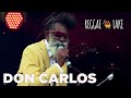 DON CARLOS LIVE REGGAE LAKE FESTIVAL AMSTERDAM 2019