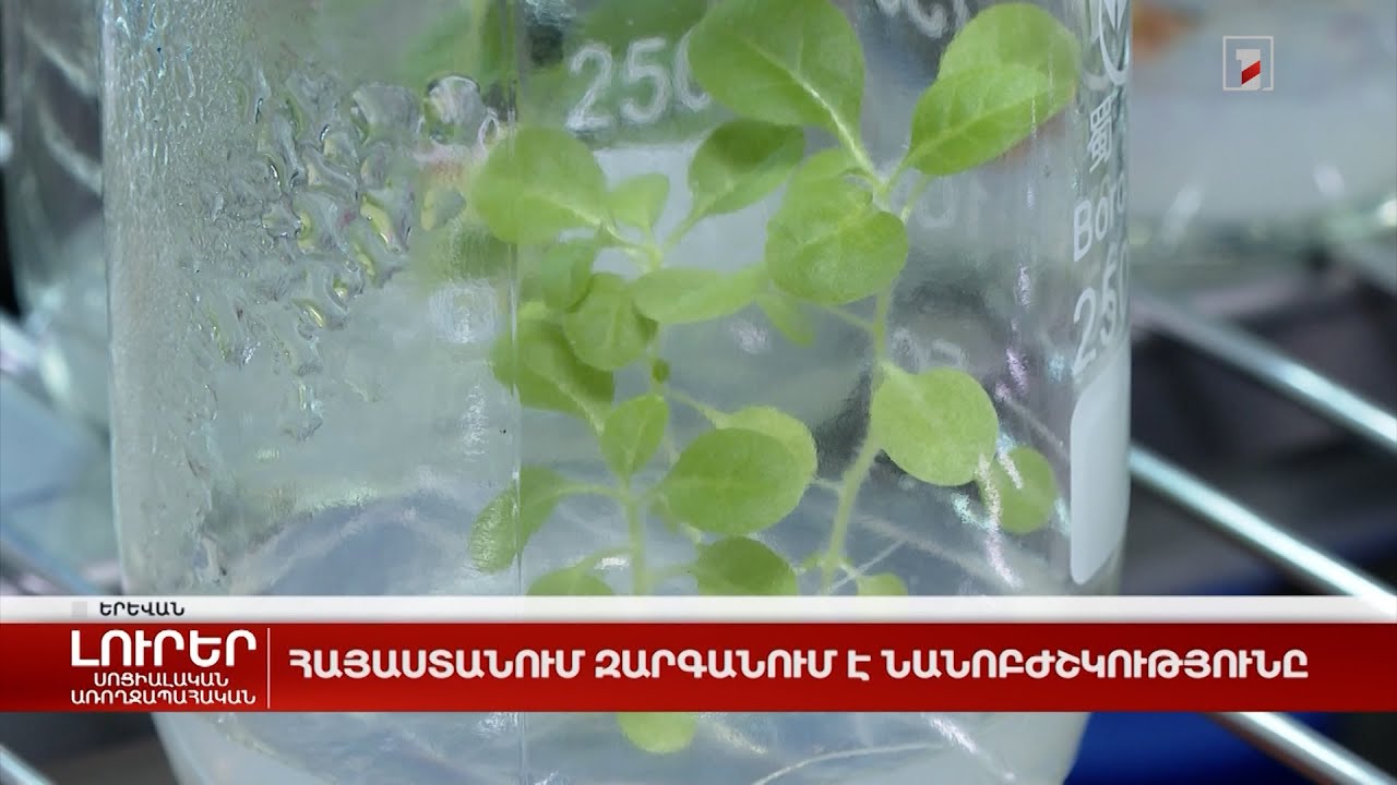Հայաստանում զարգանում է նանոբժշկությունը