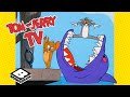 Ultimate Tom Jerry Collection From Different Eras Tom Jerry TV Boomerang UK
