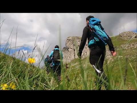 Excursie Munții Bucegi: Aventură pe Vârful Bucșa