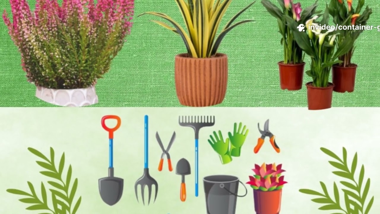 Container Gardening   The Essential Handbook